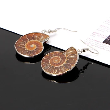 Naravni Polž Ammonite Spirala Whorl Conch Lupini Fosili Obesek, Uhani Visijo